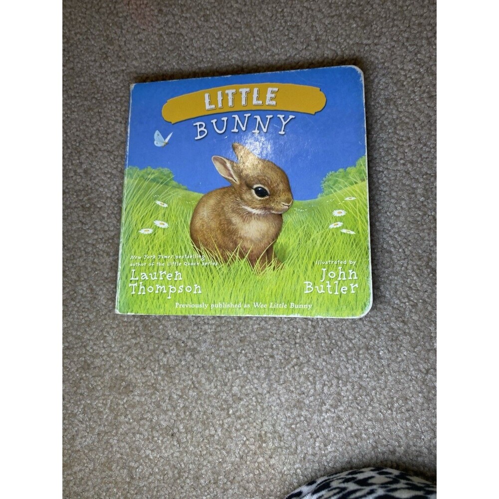Little Bunny Small Board Book Lauren Thompson John Butler